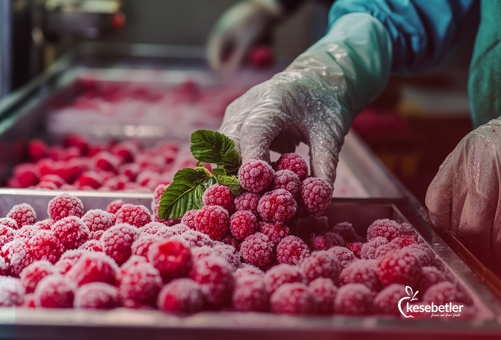 Şok Dondurma ve Kurutma